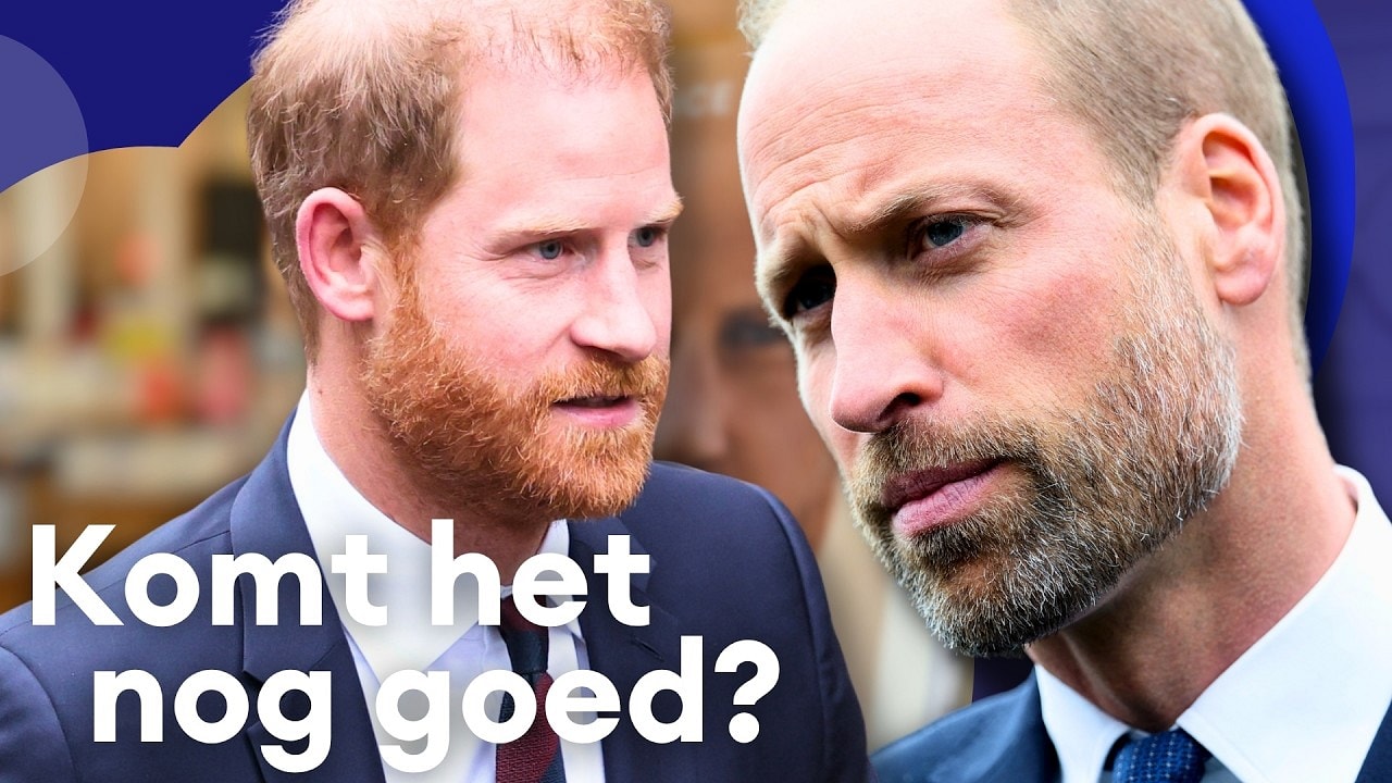 De bekoelde band tussen prins William en prins Harry