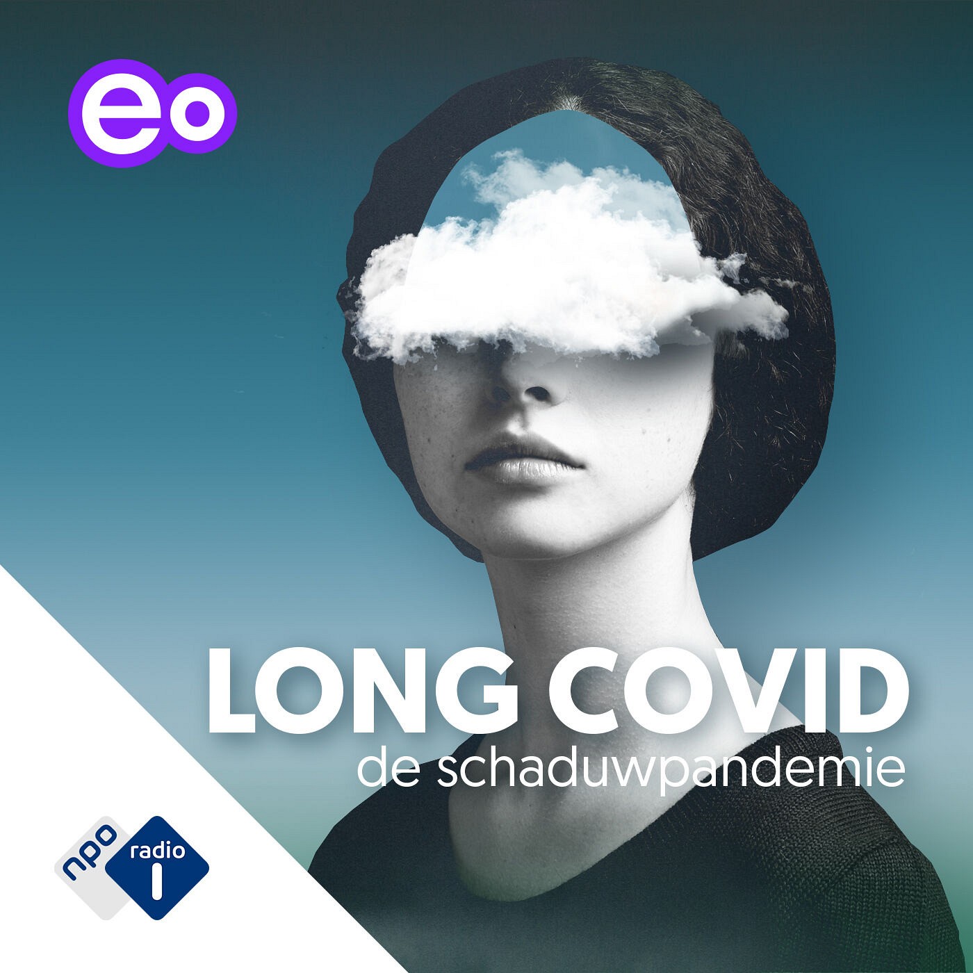 #3 - Schaduwpandemie - Of zit het in je hoofd? (S01)